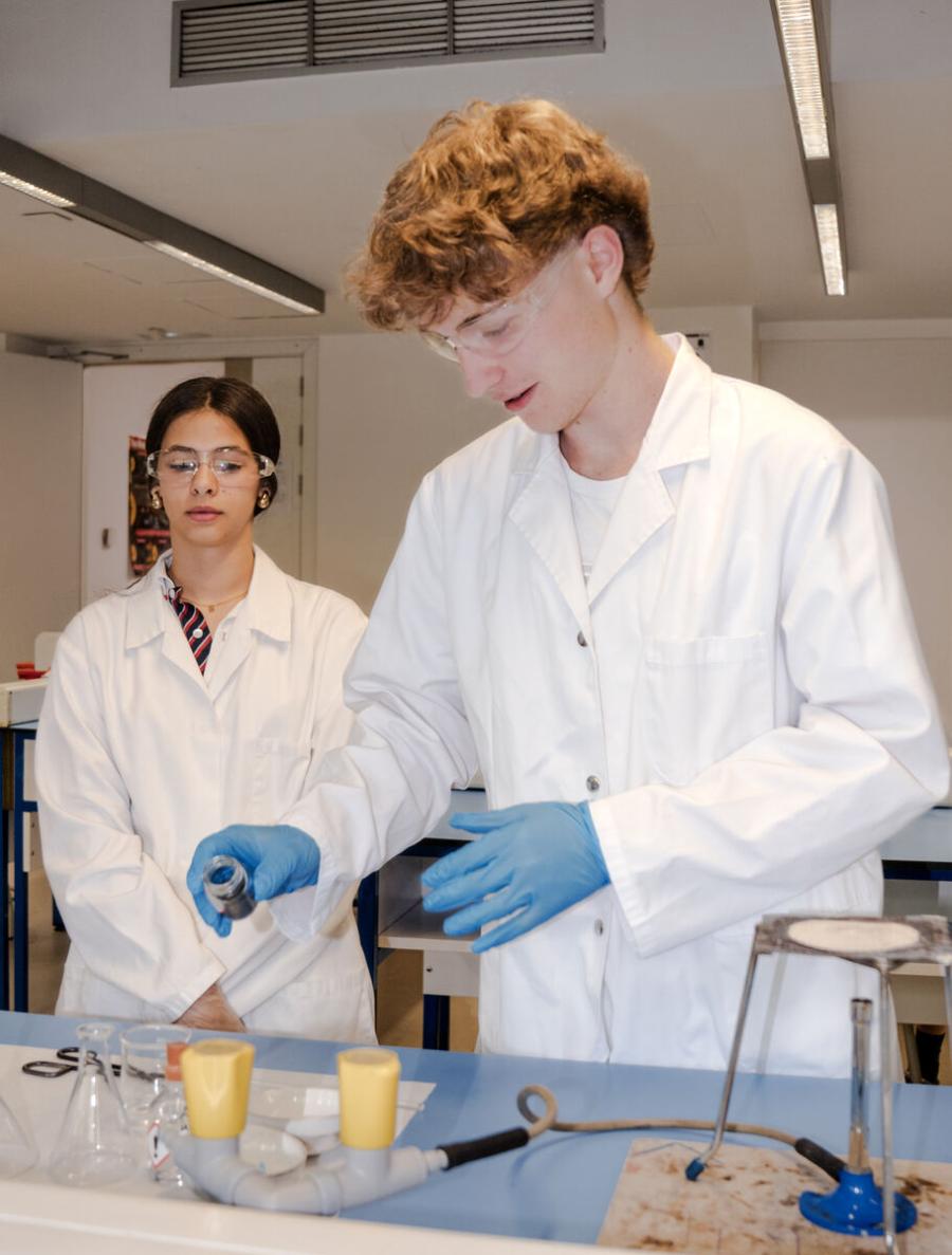escuelas en Pozuelo con A levels
