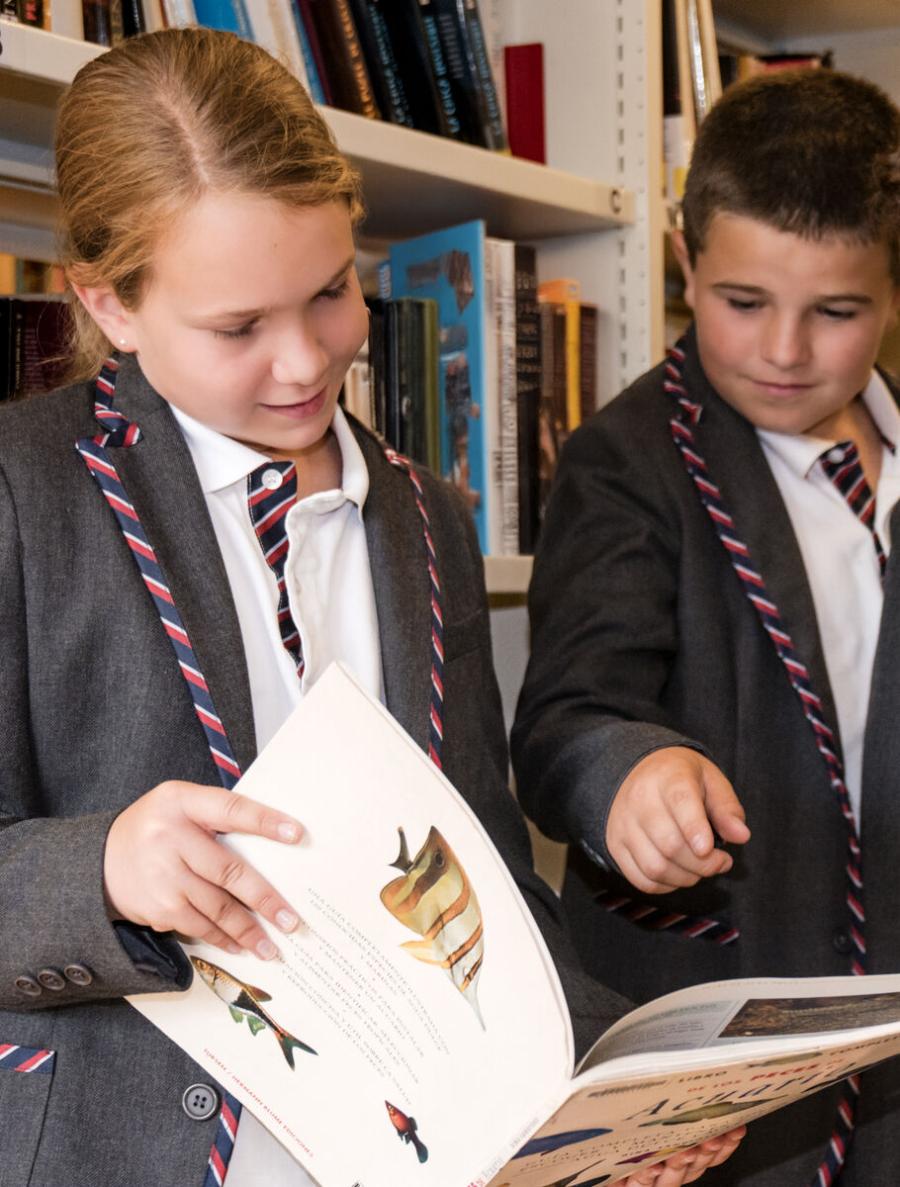 Beneficios de los estudios AS y A-Levels