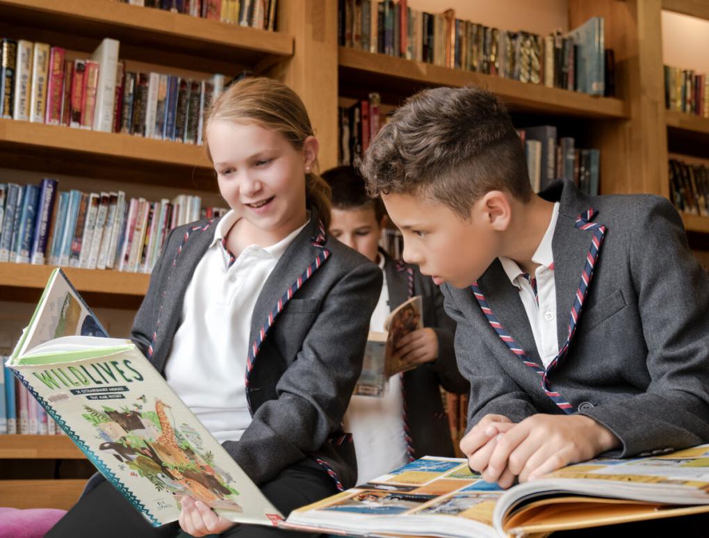 inspired_british_school